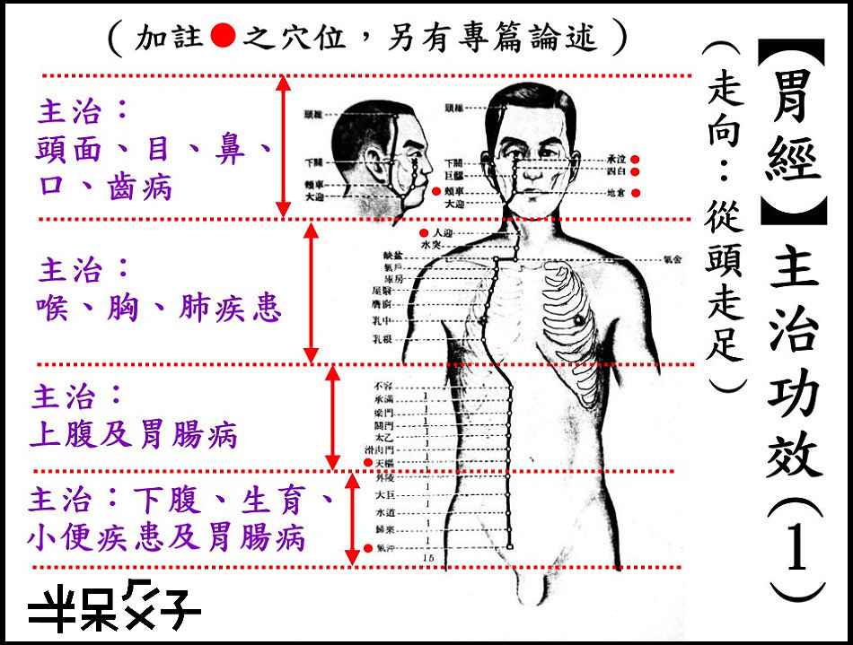 ●3-1胃經-1.jpg ●3-1胃經-1.jpg