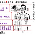 ●3-1胃經-1.jpg