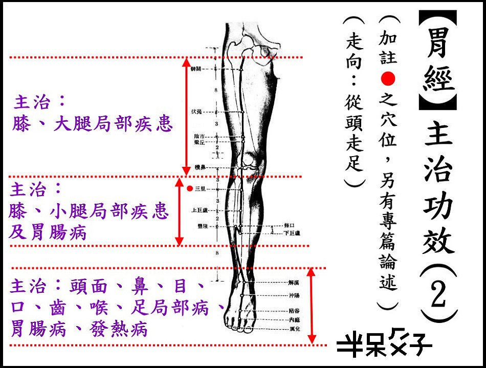 ●3-2胃經-2.jpg ●3-2胃經-2.jpg