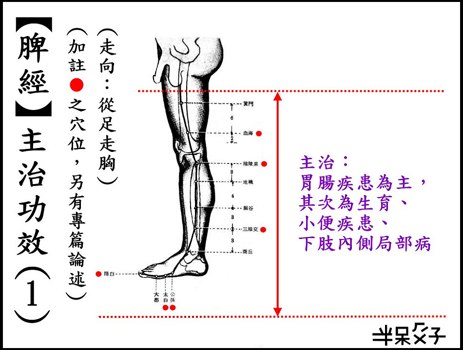 ●4-1脾經-1.jpg ●4-1脾經-1.jpg