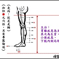●4-1脾經-1.jpg