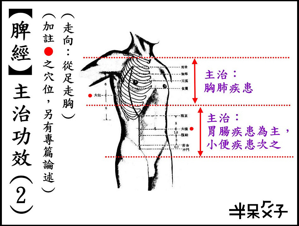 ●4-2脾經-2.jpg ●4-2脾經-2.jpg