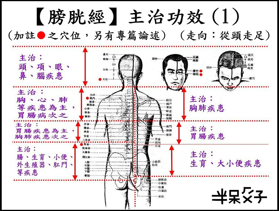 ●7-1膀胱經-1.jpg ●7-1膀胱經-1.jpg