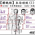 ●7-1膀胱經-1.jpg