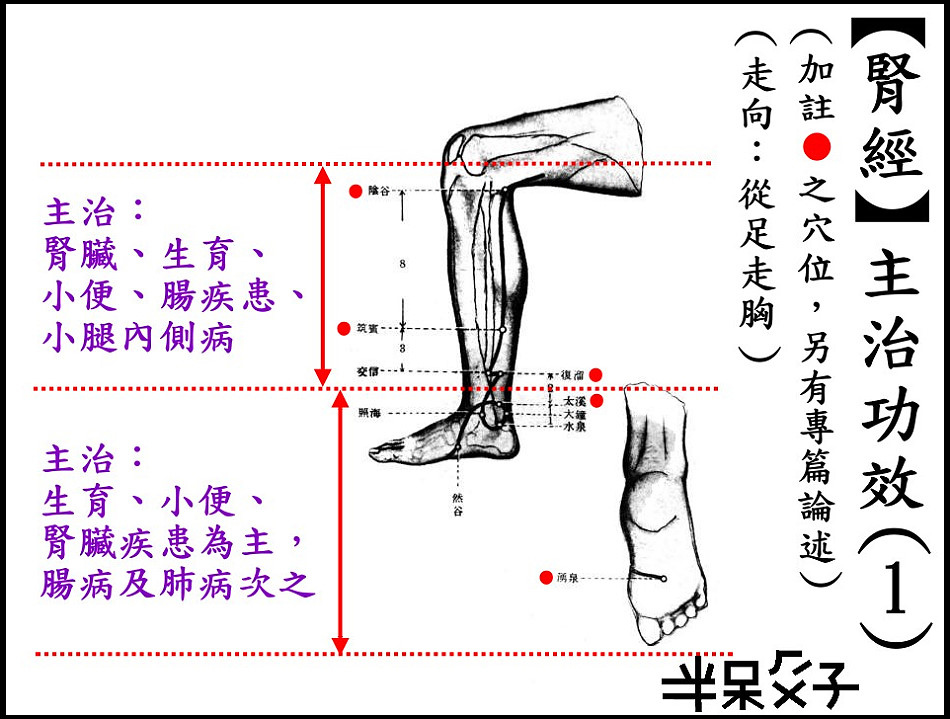 ●8-1腎經-1.jpg ●8-1腎經-1.jpg