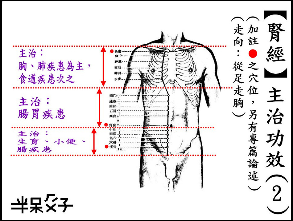 ●8-2腎經-2.jpg ●8-2腎經-2.jpg