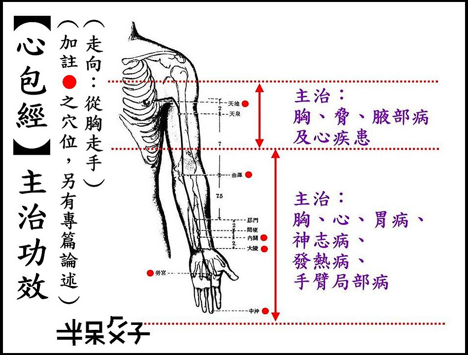 ●9心包經.jpg ●9心包經.jpg