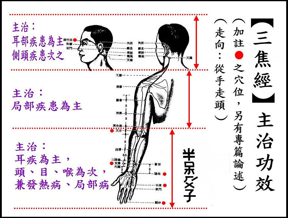 ●10三焦經.jpg