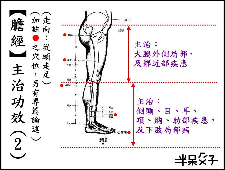 ●11-2膽經-2.jpg ●11-2膽經-2.jpg