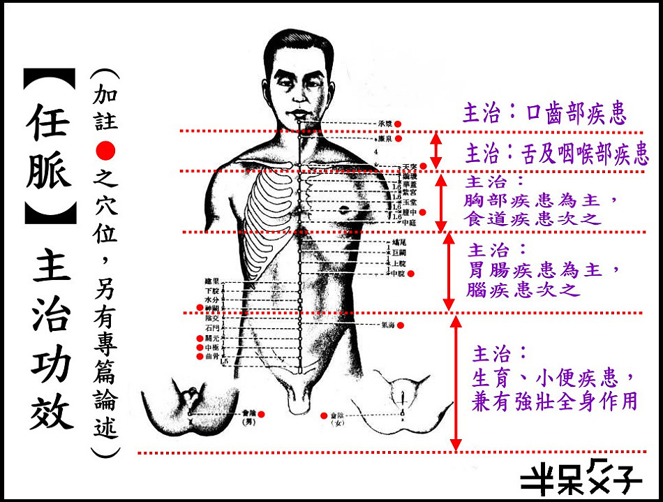 ●13任脈.jpg ●13任脈.jpg