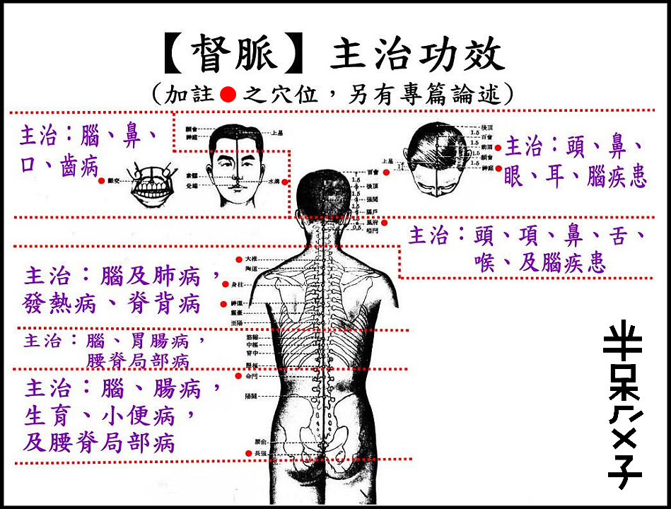 ●14督脈.jpg ●14督脈.jpg