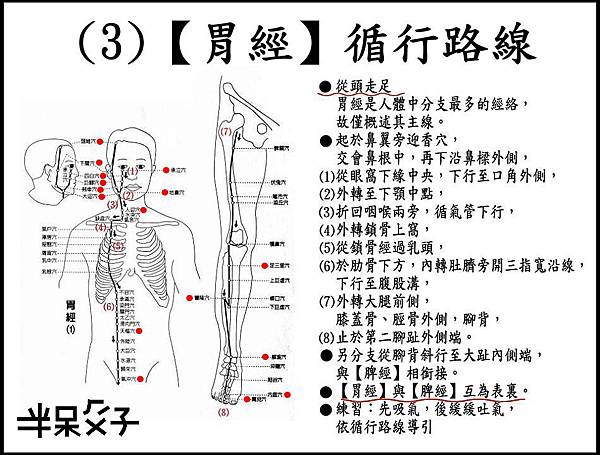 ●(3)胃經.jpg