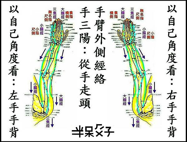 ●第3式-2手三陽之手臂外側.JPG