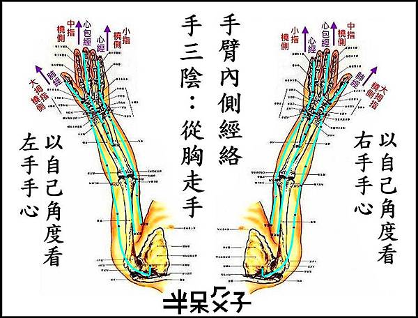 ●第3式-4手三陰之手臂內側.JPG