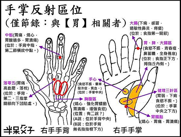 與 胃 相關的穴位及反射區 老玩童玩老童玩 痞客邦 與 胃 相關的穴位及反射區 老玩童玩老童玩 痞客邦