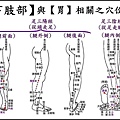 ●5下肢部.jpg