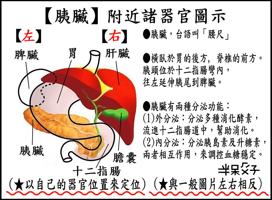 ●B-圖1.jpg ●B-圖1.jpg