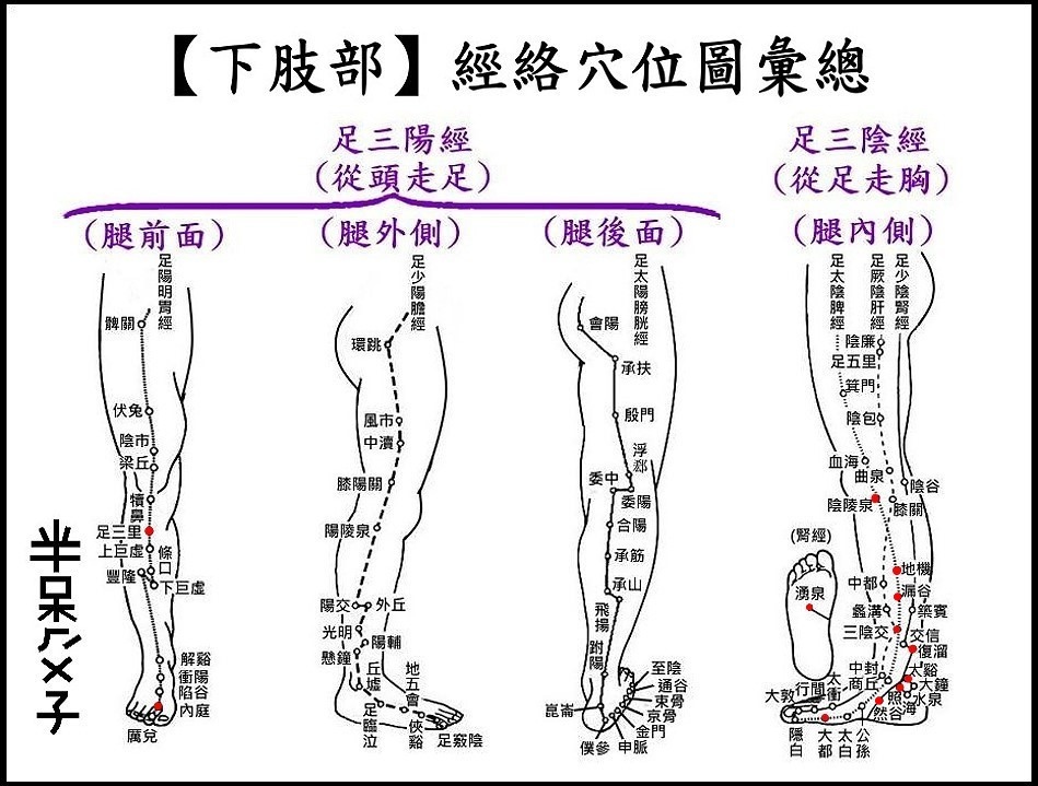 ●E1下肢綜合.jpg ●E1下肢綜合.jpg