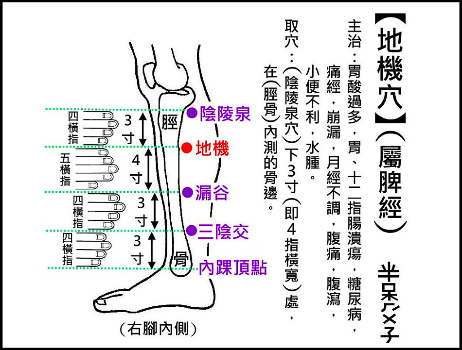 ●E4地機(脾經).jpg ●E4地機(脾經).jpg