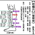 ●E4地機(脾經).jpg