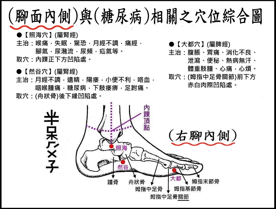 ●E10腳面內側.jpg ●E10腳面內側.jpg