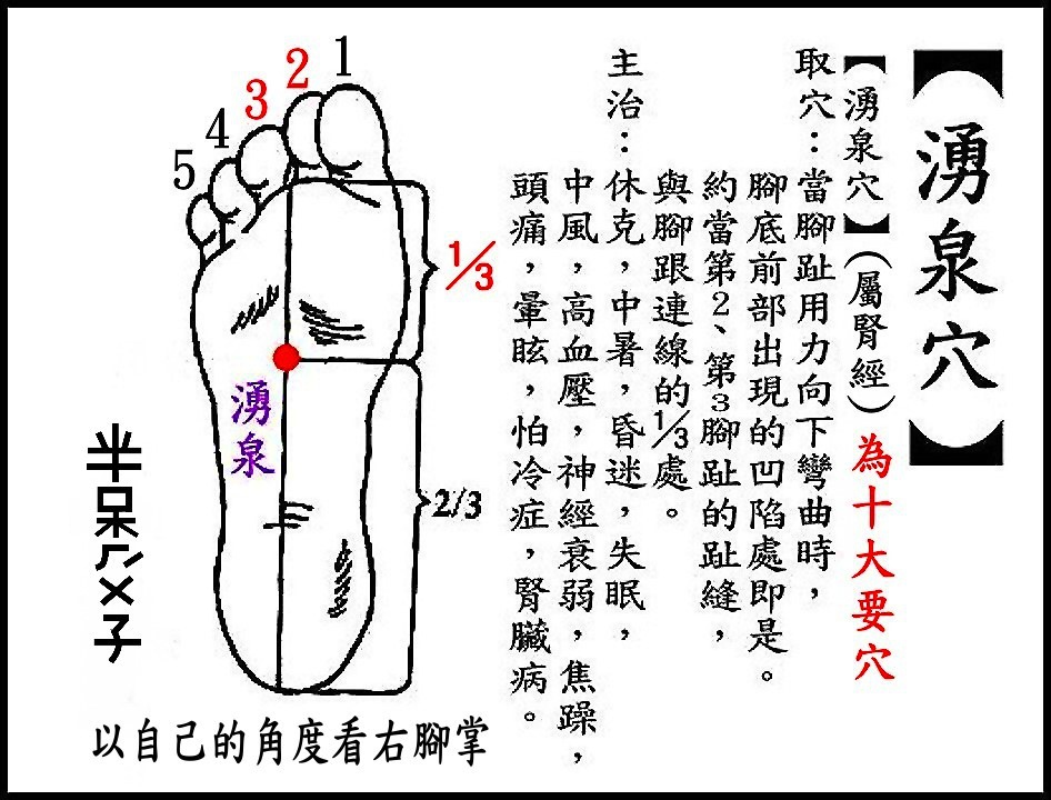 ●E11湧泉(腎經).jpg ●E11湧泉(腎經).jpg