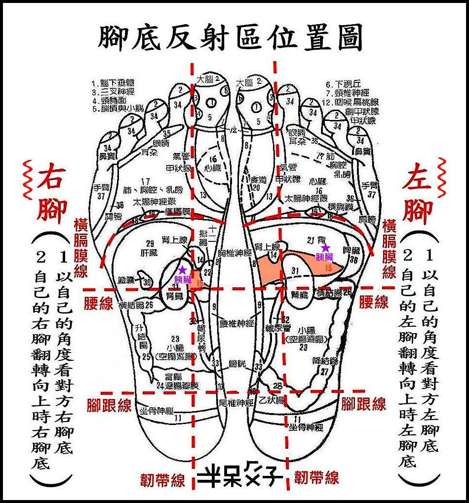 ●E12腳底.jpg ●E12腳底.jpg