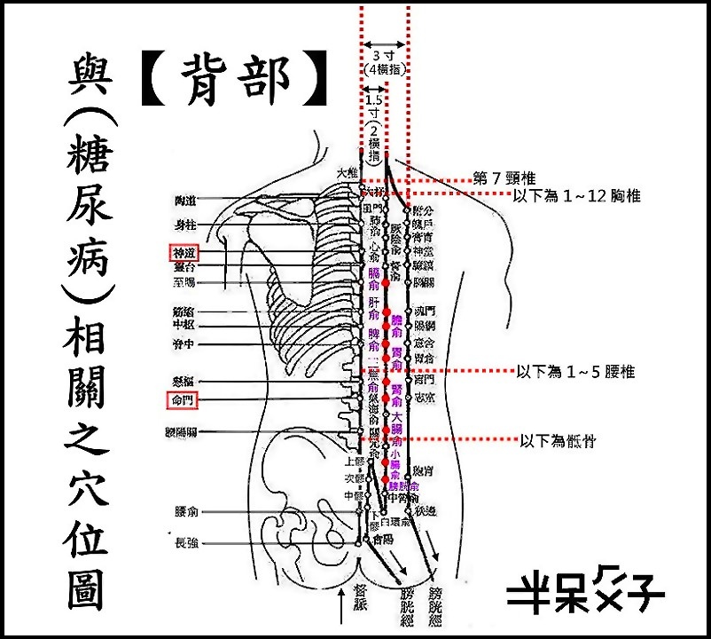 ●E13背部.jpg ●E13背部.jpg