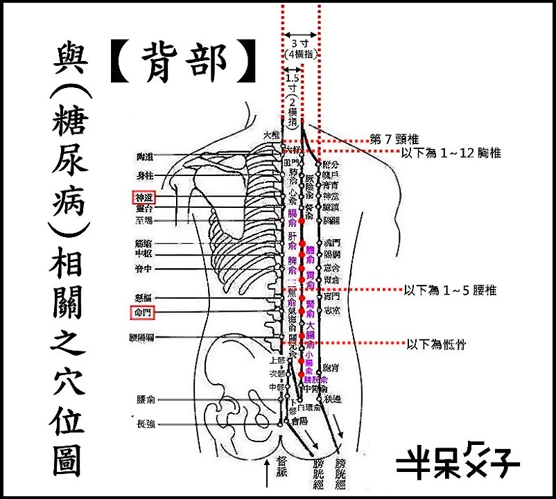 ●E13背部.jpg