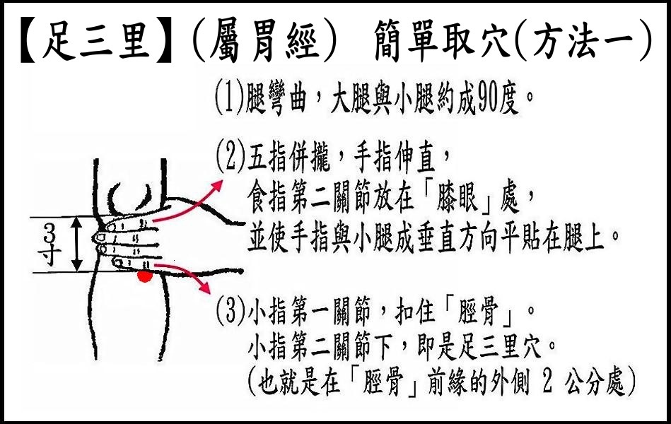 ●E9-1足三里(胃經).jpg ●E9-1足三里(胃經).jpg
