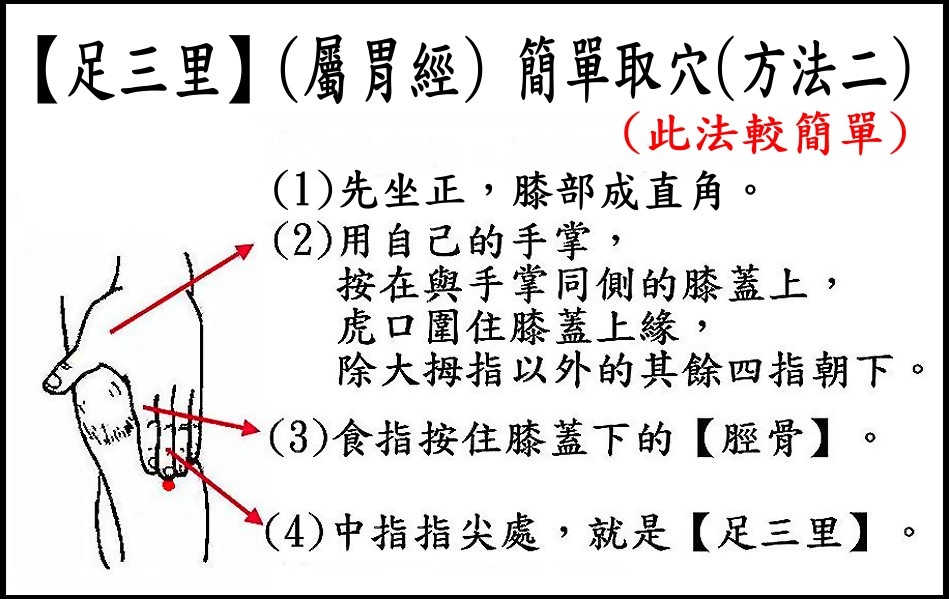 ●E9-2足三里(胃經).jpg ●E9-2足三里(胃經).jpg