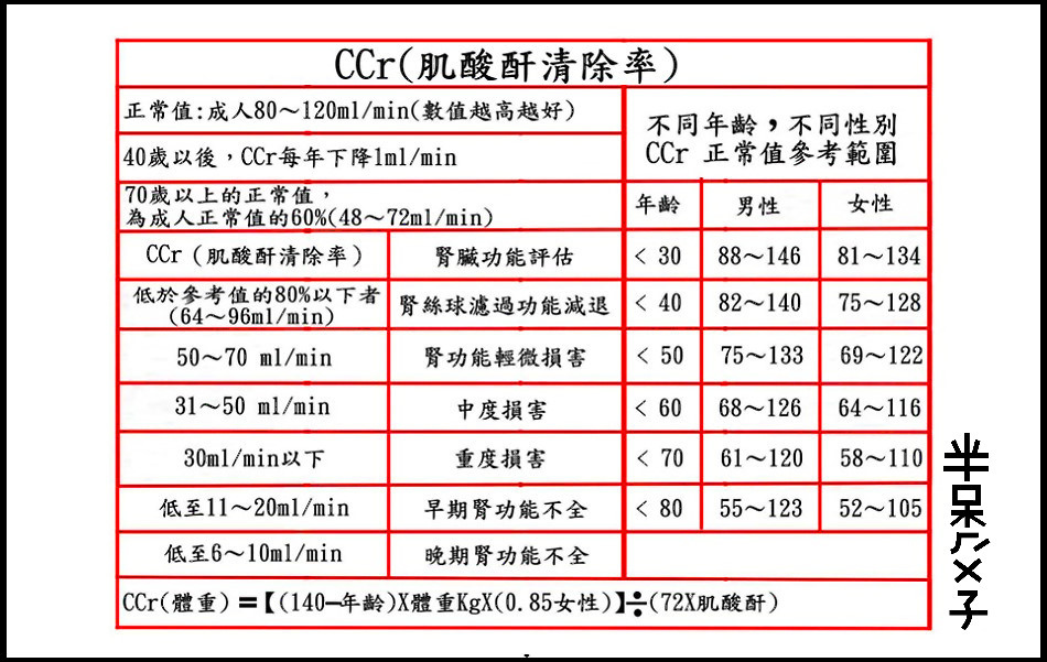 肌酸酐正常值 Puteri