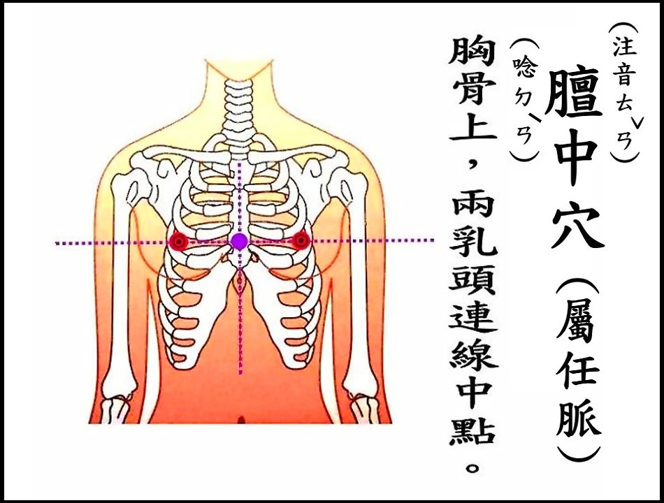 膻中(任)(胸).jpg