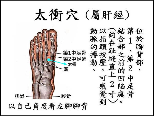 太衝(肝)(腳).jpg