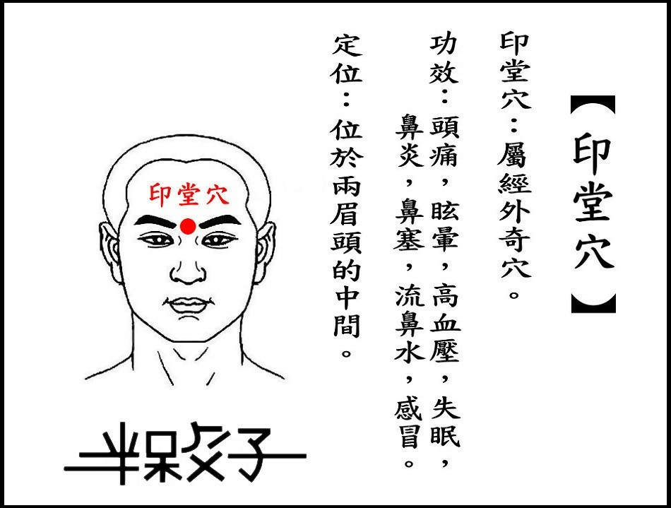 ●印堂穴(頭).jpg ●印堂穴(頭).jpg