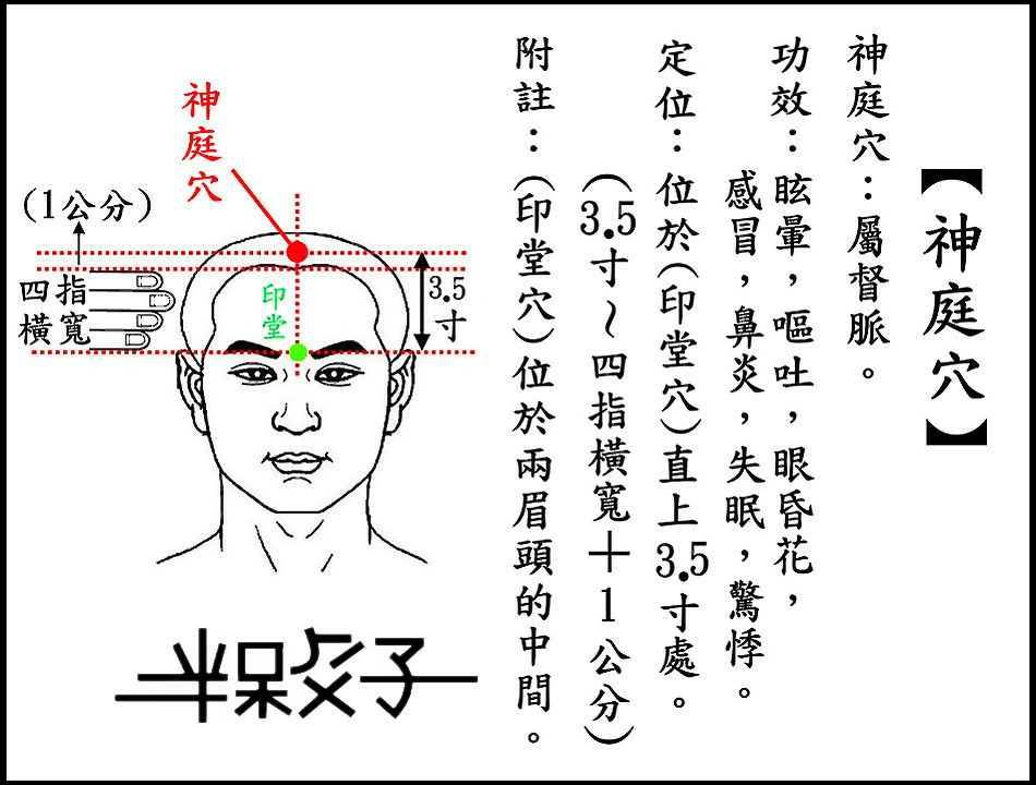 ●神庭穴(頭).jpg ●神庭穴(頭).jpg