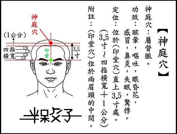 ●神庭穴(頭).jpg