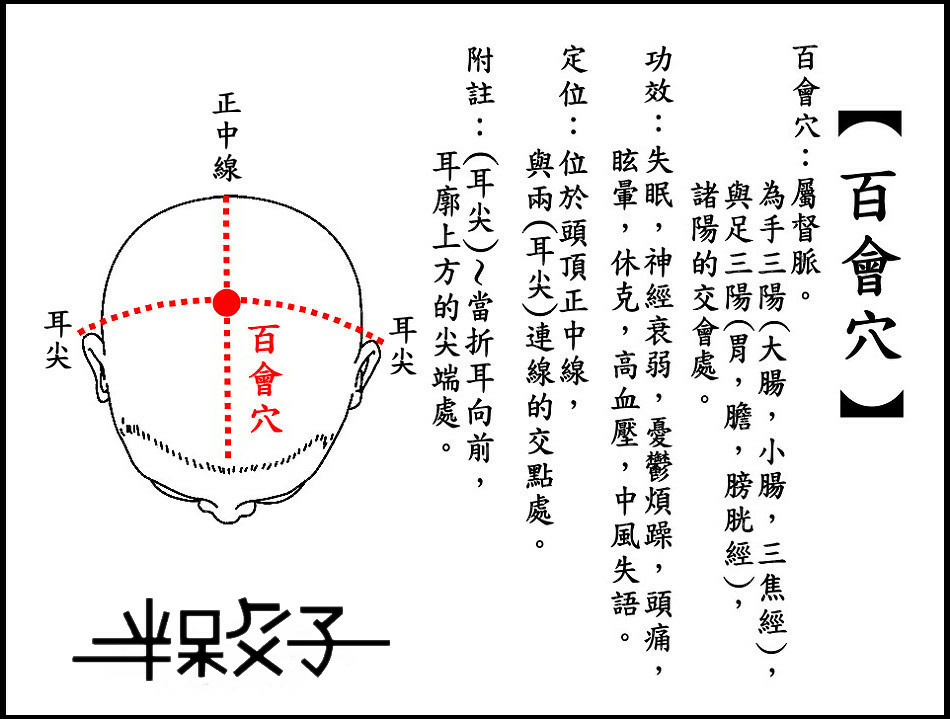 ●百會穴(頭).jpg ●百會穴(頭).jpg