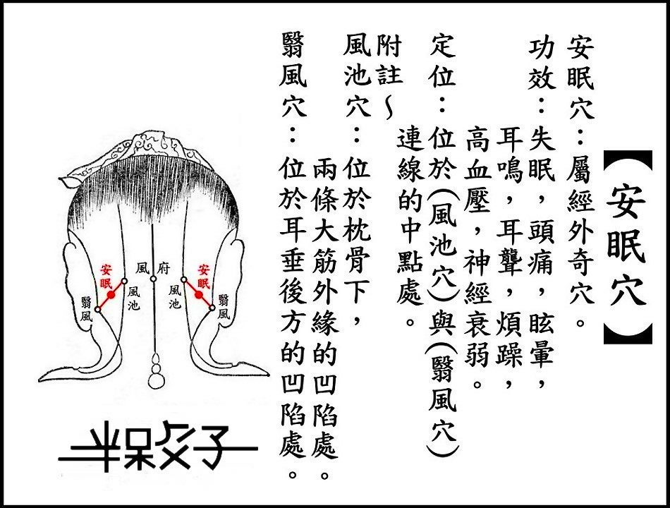 ●安眠穴(頭).JPG ●安眠穴(頭).JPG