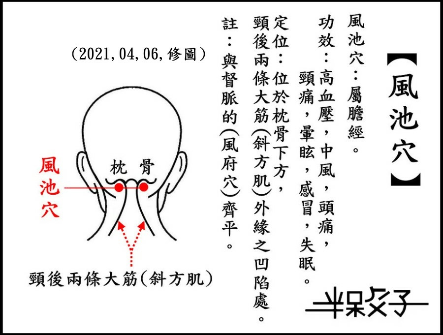 ●風池穴(頭)-1.jpg ●風池穴(頭)-1.jpg