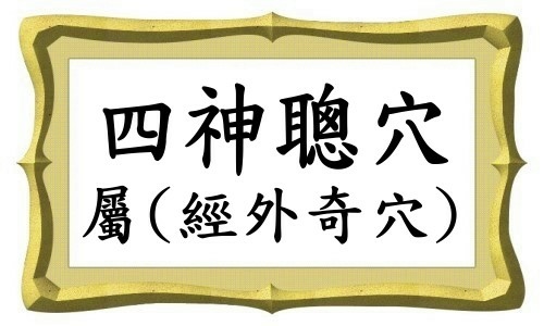 四神聰穴-1.jpg 四神聰穴-1.jpg
