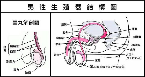 ●結構圖.jpg