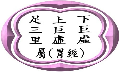 胃經(增文)-1.jpg 胃經(增文)-1.jpg