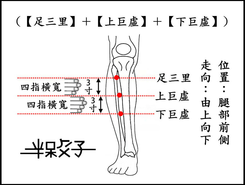 胃經(增文)-1-1.jpg 胃經(增文)-1-1.jpg