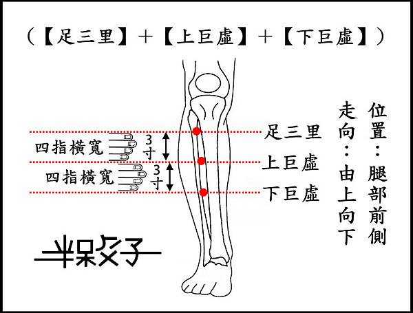 胃經(增文)-1-1.jpg