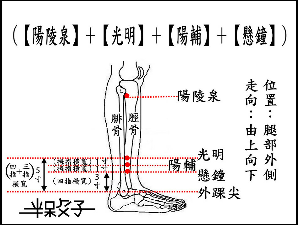 膽經(增文)-2.jpg 膽經(增文)-2.jpg