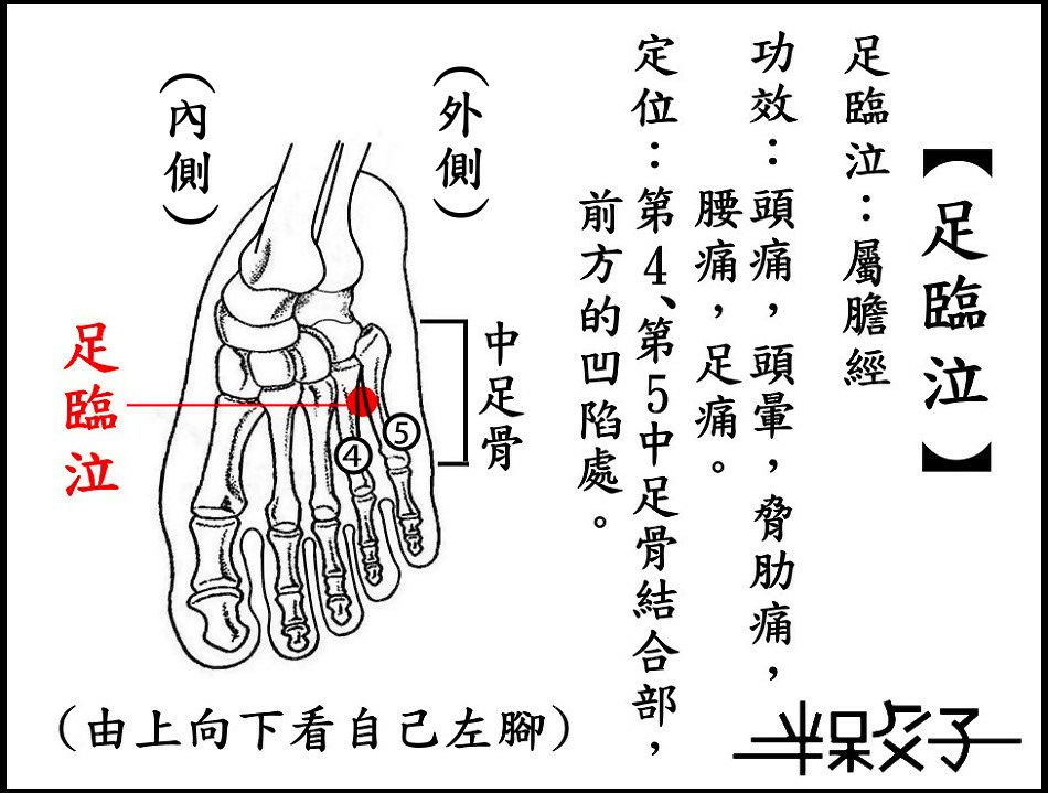 足臨泣-2.jpg 足臨泣-2.jpg