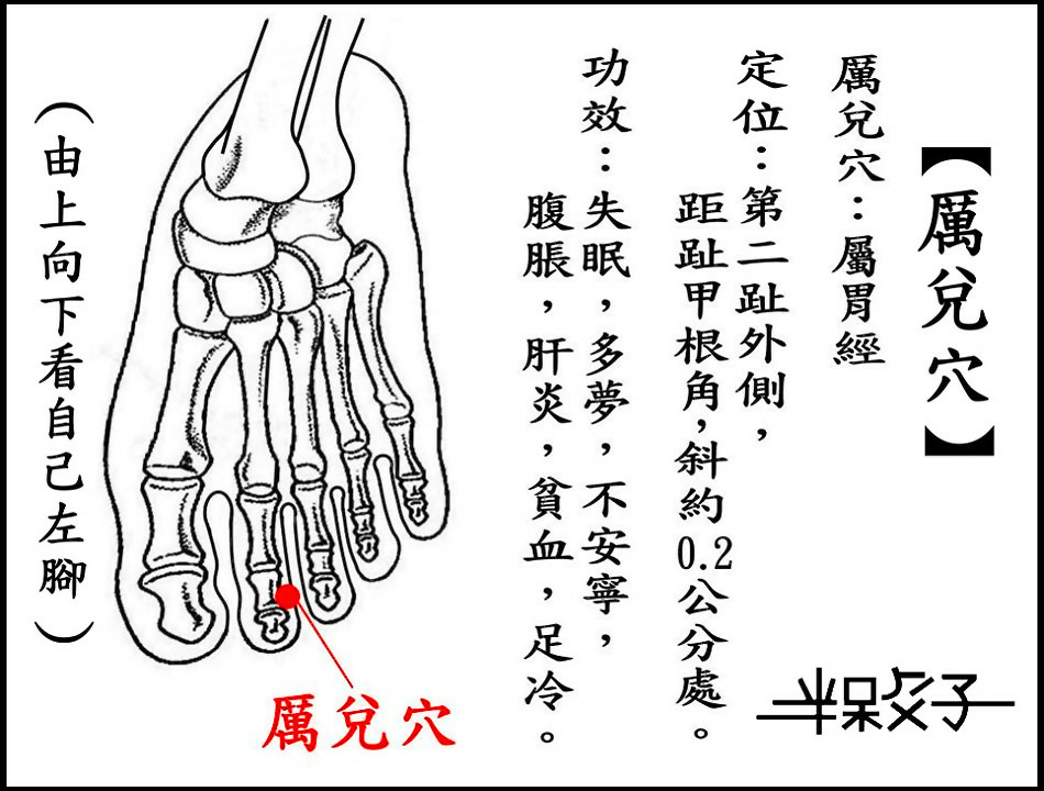 ●厲兌(胃).jpg ●厲兌(胃).jpg