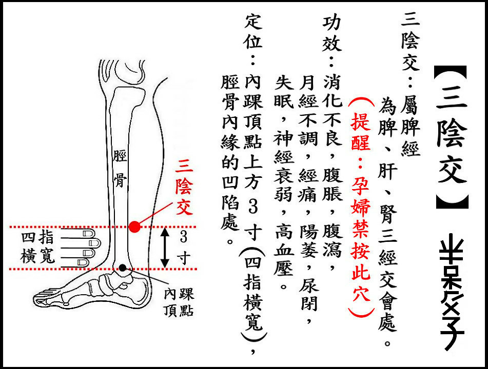 ●三陰交(脾).jpg ●三陰交(脾).jpg