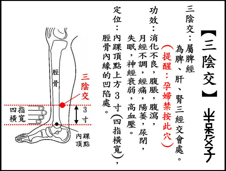 ●三陰交(脾).jpg